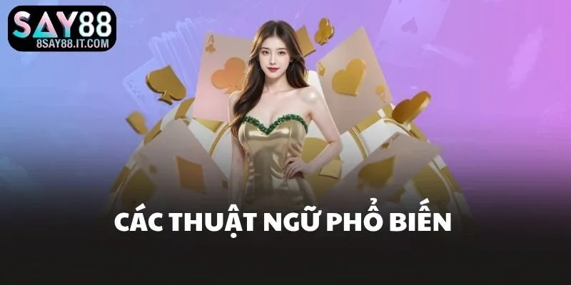 Các thuật ngữ phổ biến