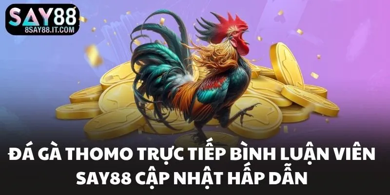 Đá Gà Thomo Trực Tiếp Bình Luận Viên SAY88 Cập Nhật Hấp Dẫn