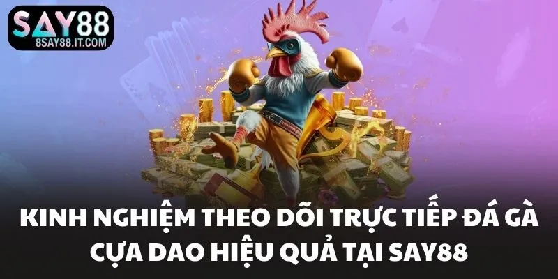 Kinh nghiệm theo dõi trực tiếp đá gà cựa dao hiệu quả tại SAY88