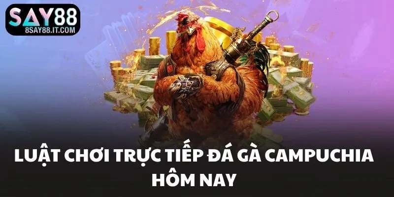 Luật chơi trực tiếp đá gà campuchia hôm nay