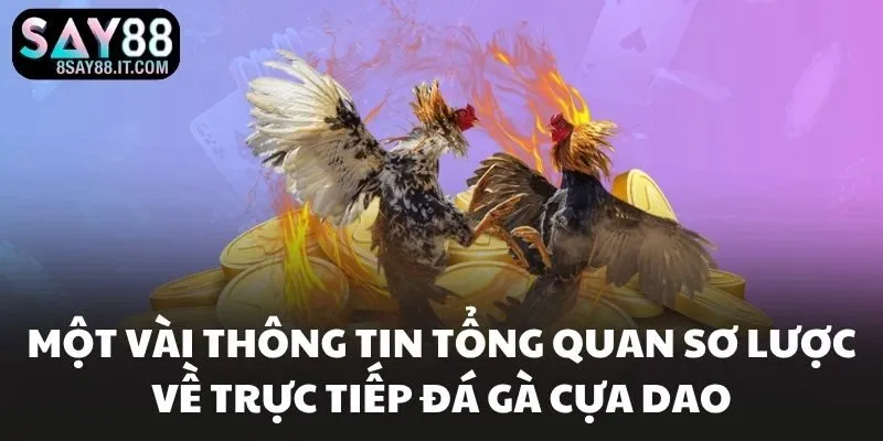 Một vài thông tin tổng quan sơ lược về trực tiếp đá gà cựa dao
